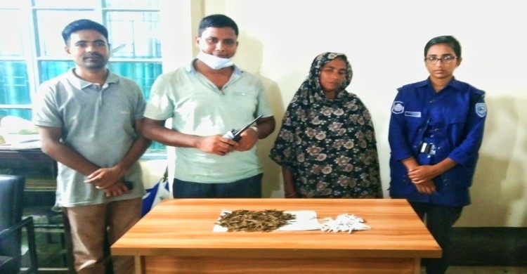 ঘোড়াঘাটে গাঁজাসহ এক মহিলা মাদক ব্যবসায়ী  আটক