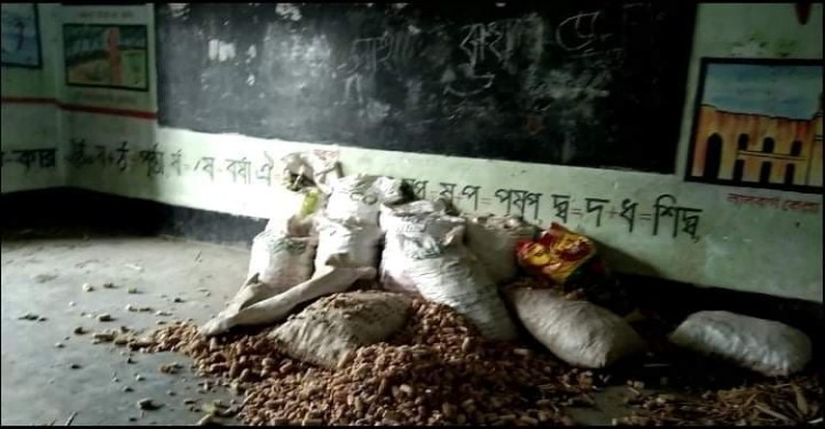 লালমনিরহাটে হাতীবান্ধায় নজরদারির অভাবে প্রাইমারী স্কুল গুলোর বেহাল দশা