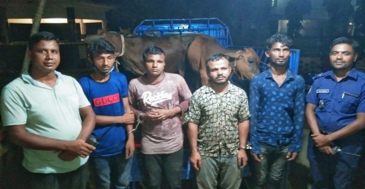 ঘোড়াঘাটে সাড়ে তিন ঘন্টার পথ পাড়ি দিয়ে চুরি করতে এসে আটক ৪