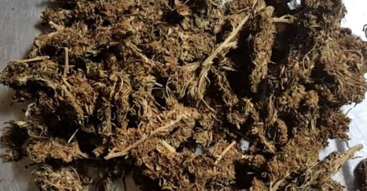 রংপুরে সাড়ে তিন কেজি গাঁজাসহ ইউপি সদস্য আটক