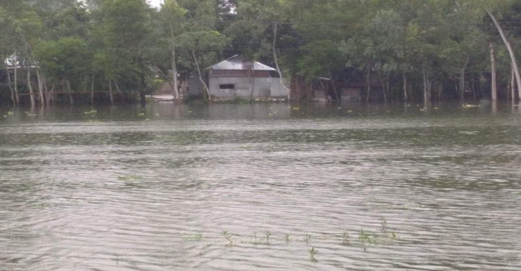কুড়িগ্রামে নতুন করে ব্রহ্মপুত্রের বেড়েছে পানি