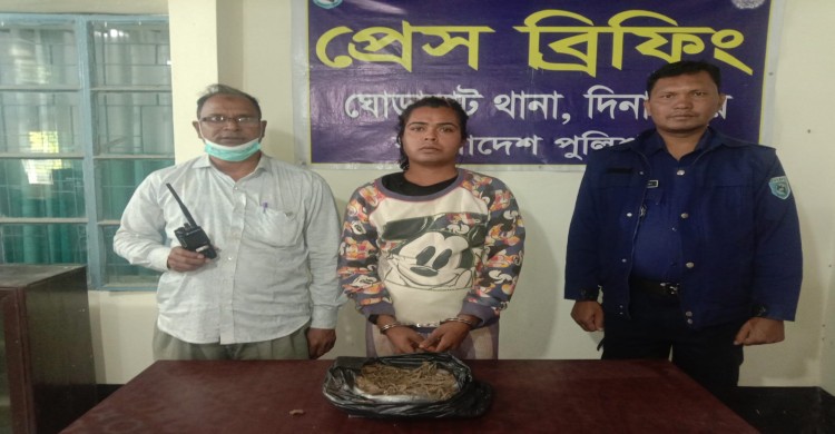 ঘোড়াঘাটে গাঁজাসহ তৃতীয় লিঙ্গের এক মাদক ব্যবসায়ী আটক